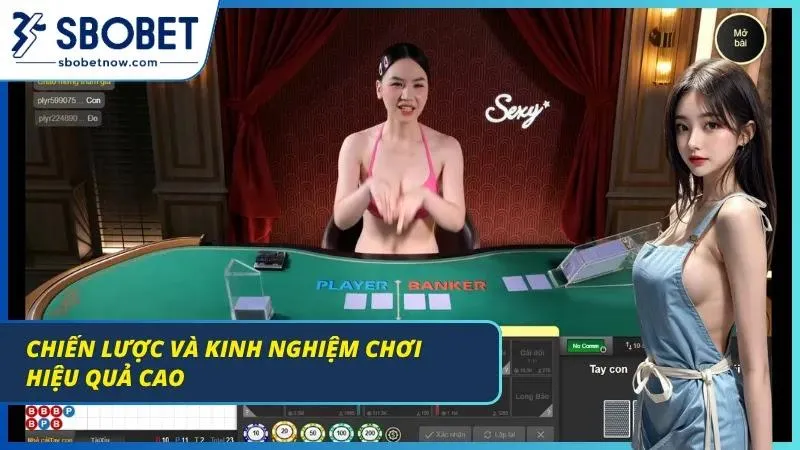 Bảng thống kê lịch sử cầu cược hiển thị các chu kỳ bệt rõ ràng