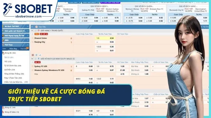 Khám phá chi tiết về cá cược bóng đá cho Newbie