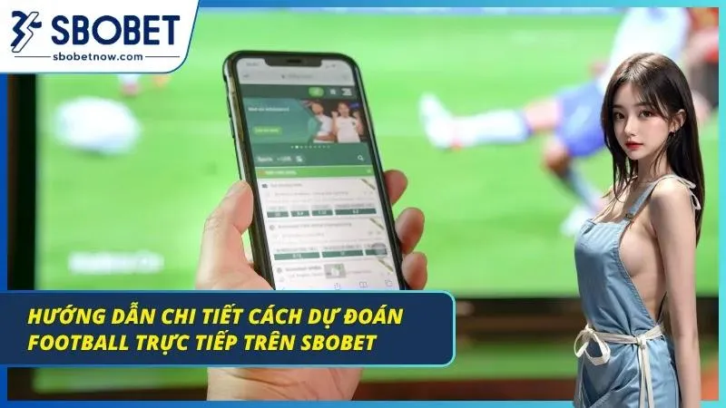 Bật mí quy trình soi kèo cược từ a đến z cho Newbie