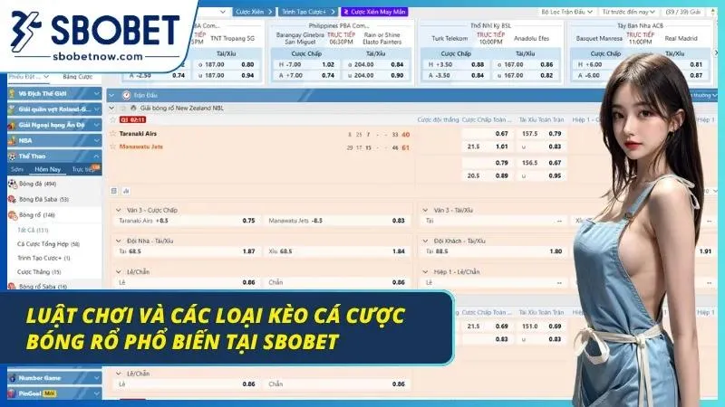 Khám phá tất tần tật về quy luật chơi Basketball