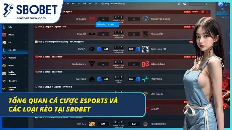 Meta đổi chiều chỉ sau một bản vá âm thầm qua đêm
