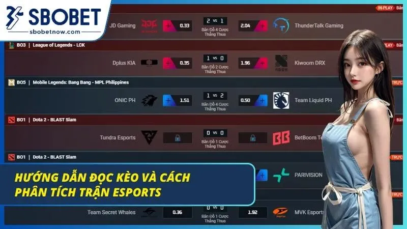 Dân thắng dài thường đọc nhịp odds trước đám đông vài phút