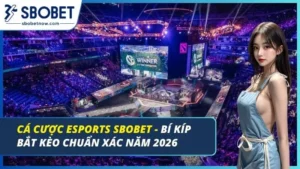 Cá cược Esports
