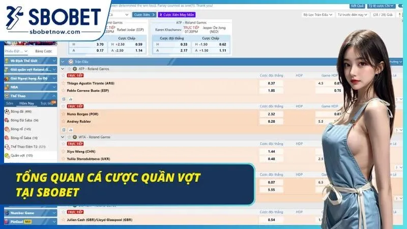 Khám phá tất tần tật về cá cược quần vợt chuẩn nhất 2026