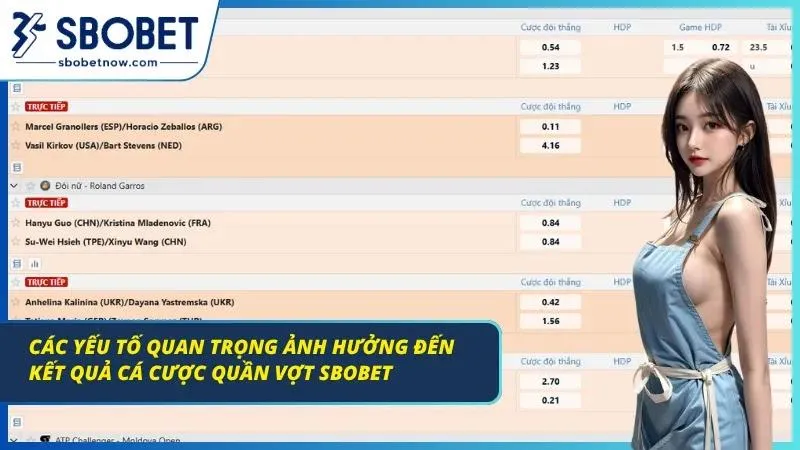 Yếu tố ảnh hưởng đến cuộc tranh tài