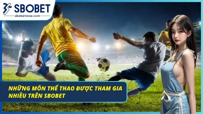 Danh sách các bộ môn thể thao phổ biến được phân loại rõ ràng