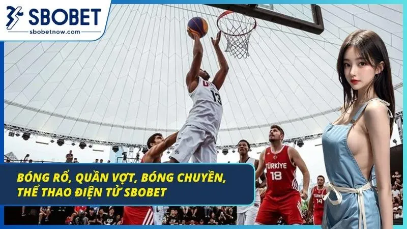 Minh họa nhiều môn thể thao và giải đấu điện tử