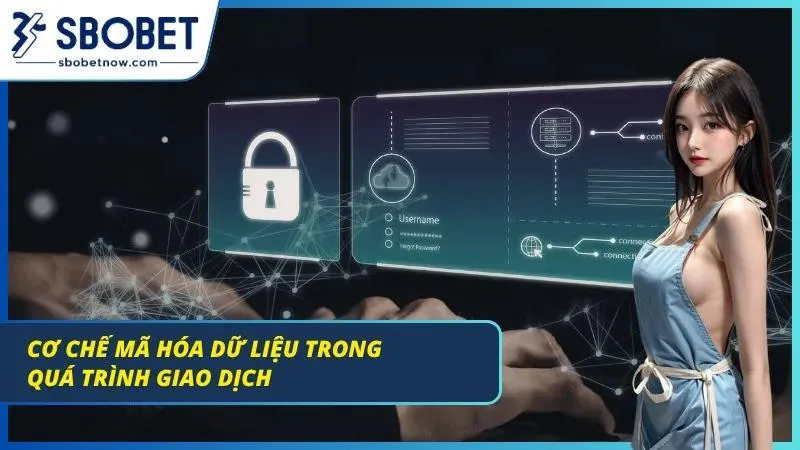 Hệ thống mã hoá giao dich đỉnh chóp