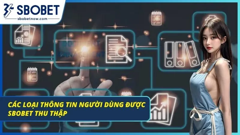 Các loại thông tin nhà cái thu thập thành viên