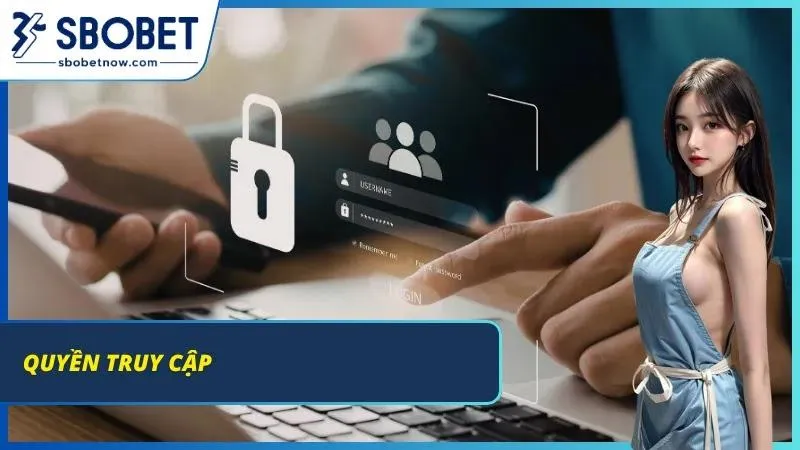 Quyền chỉnh sửa, cập nhật dữ liệu đơn giản