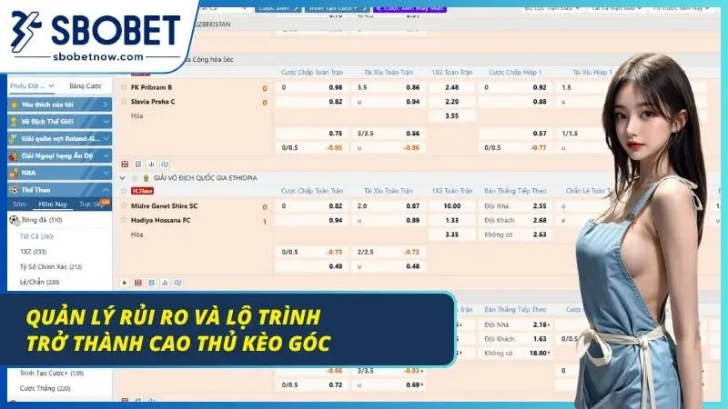 Mô hình phân bổ nguồn vốn đầu tư bóng đá an toàn dài hạn