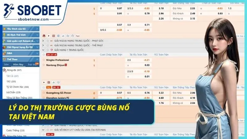 Minh họa thị trường cá cược trực tuyến phát triển mạnh tại Việt Nam