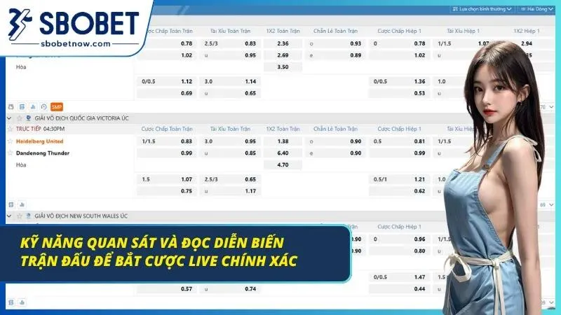 Theo dõi nhịp tấn công giúp nhận biết thời điểm vào cược phù hợp
