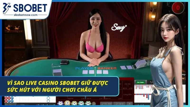 Người chơi tìm kiếm live casino trên thanh tìm kiếm