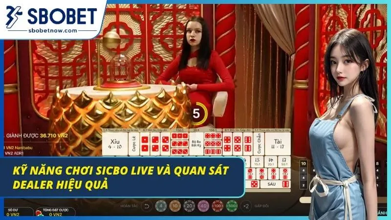 Mẹo chơi live và quan sát dealer hiệu quả nhất từ các chuyên gia dày kinh nghiệm